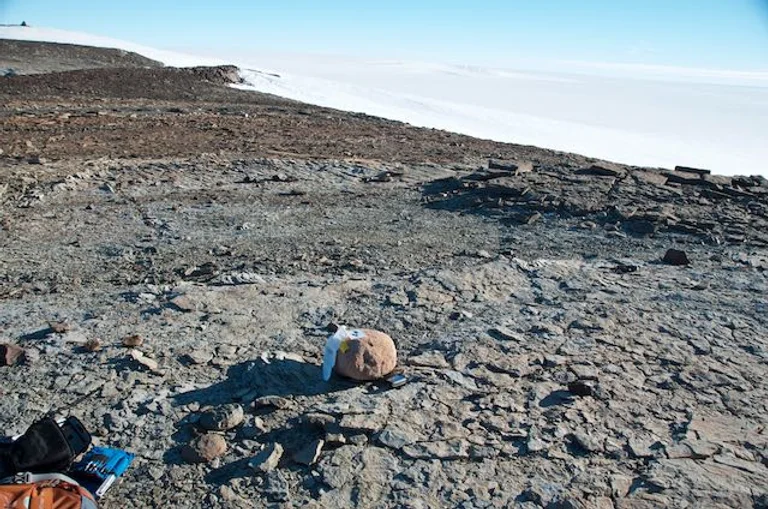 One of the quartzite boulders.